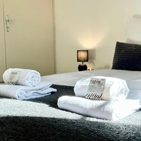 Le Wlerick Lumineux - Spacieux - Hyper Centre Apartment Mont-de-Marsan